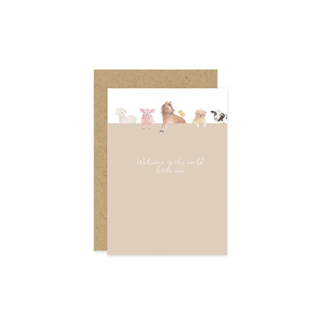 Little Roglets- Welcome To The World Farmyard- Baby at the bank