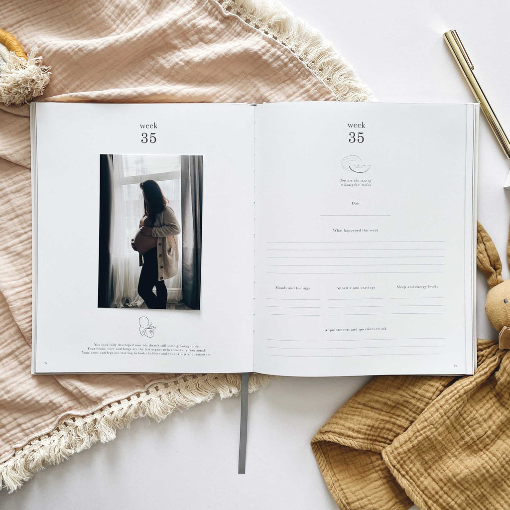 Blush & Gold -My Pregnancy Journal - Safari with Gilded Edges