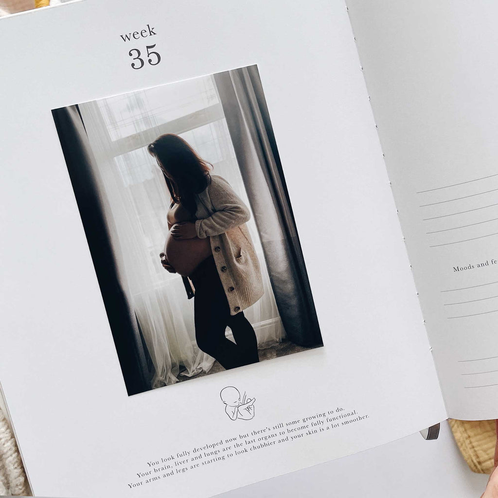 Blush & Gold -My Pregnancy Journal - Safari with Gilded Edges