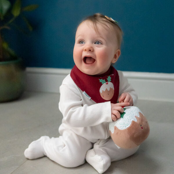 Ziggle- Pudding Christmas Bib- baby at the bank
