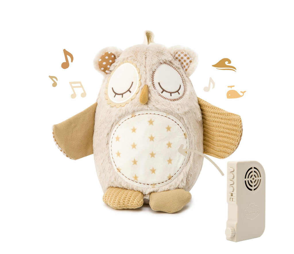 Cloud B Nighty Night Night Owl Smart Sensor