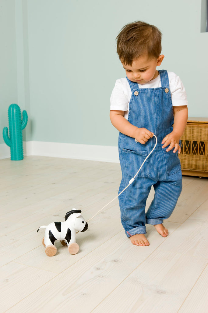 Little Big Friends- Pull Along Robert the Zebra- Baby at the bank