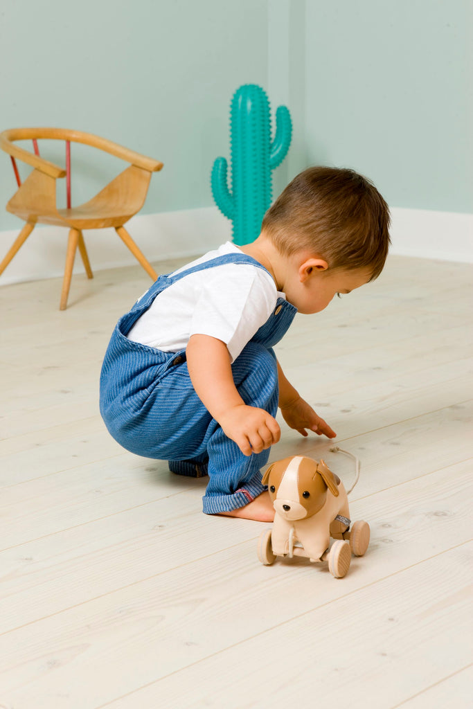 Little Big Friends Pull Along Adrien the Dog