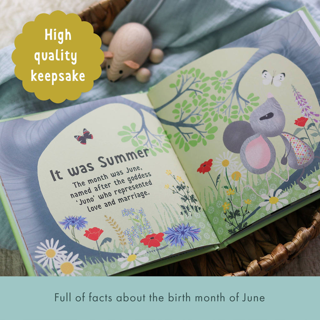 The Day You Were Born In June | Newborn Gift | Baby Shower