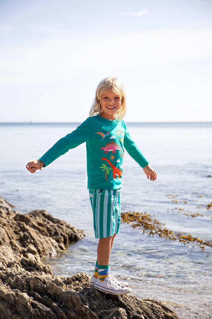 Frugi- Stithian Shorts Bluebird Iguana Stripe- Baby at the bank