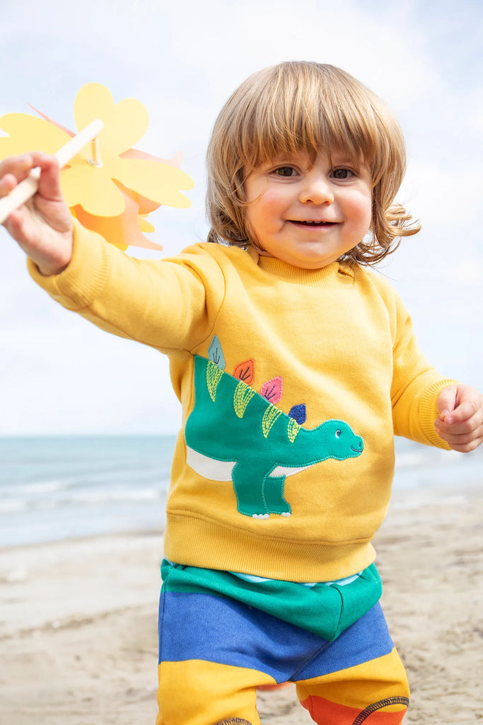 Frugi- Easy On Jumper Bumblebee/Dino- Baby at the bank