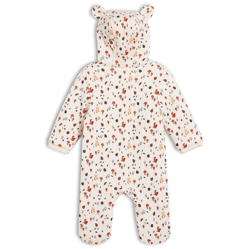 Minicuddles- Baby Unisex Novelty Printed Pram Suit, Multicolour- Baby at the bank