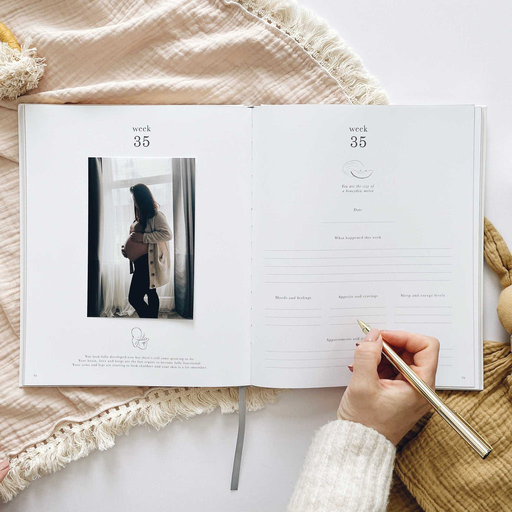 Blush & Gold -My Pregnancy Journal - Safari with Gilded Edges