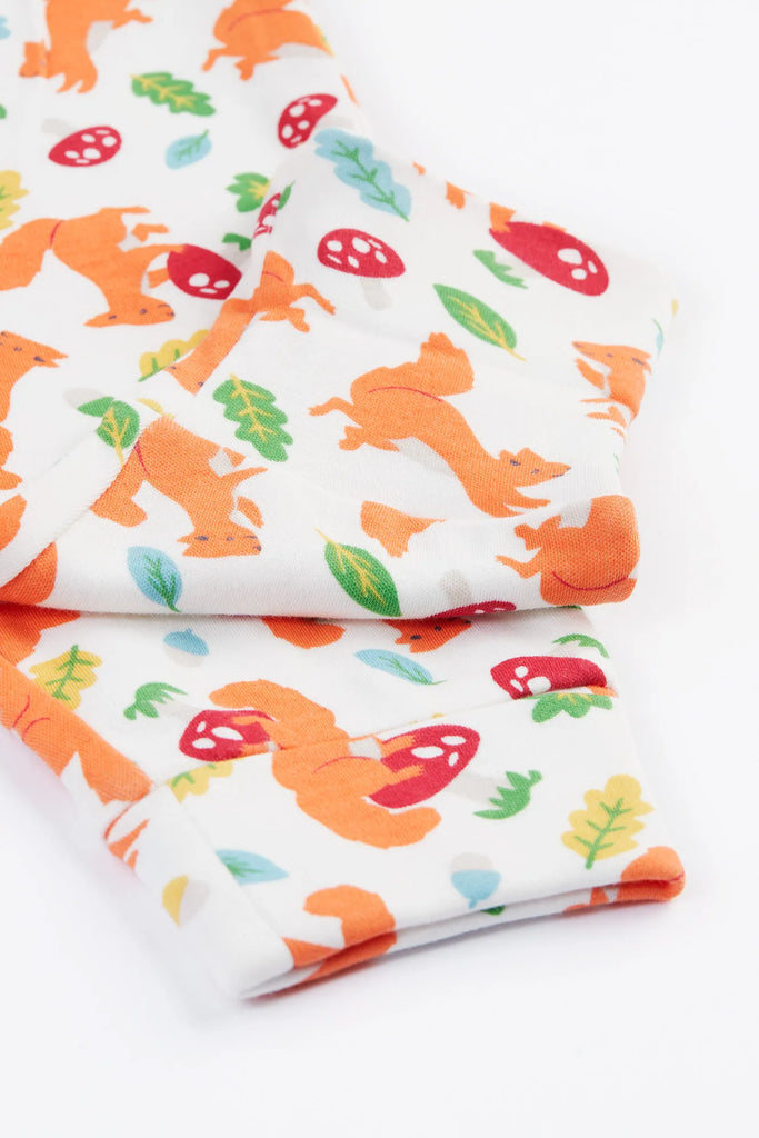 Frugi- Frankie Outfit Bumblebee Stripe/Squirrel Friends- Baby at the bank