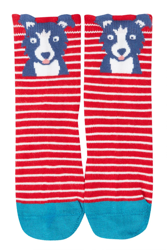 Frugi- Little Socks 3PK Farm Multipack- Baby at the bank