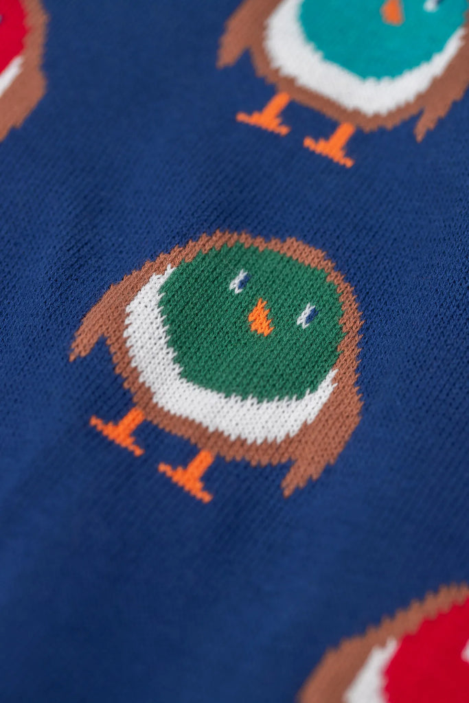 Frugi-Jolly Knitted Jumper Navy/Rainbow Robins- Baby at the bank