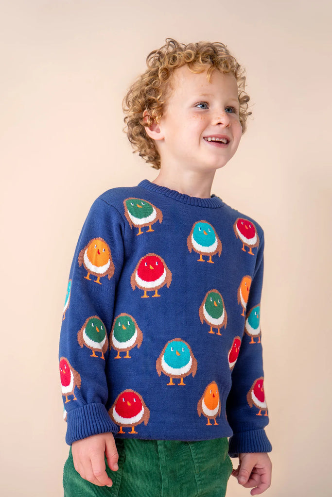 Frugi-Jolly Knitted Jumper Navy/Rainbow Robins- Baby at the bank