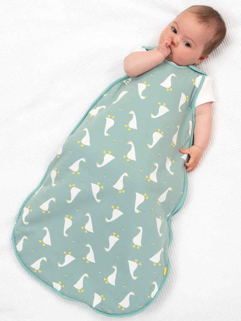 Kite- Little Goose Sleeping Bag- Baby at the bank