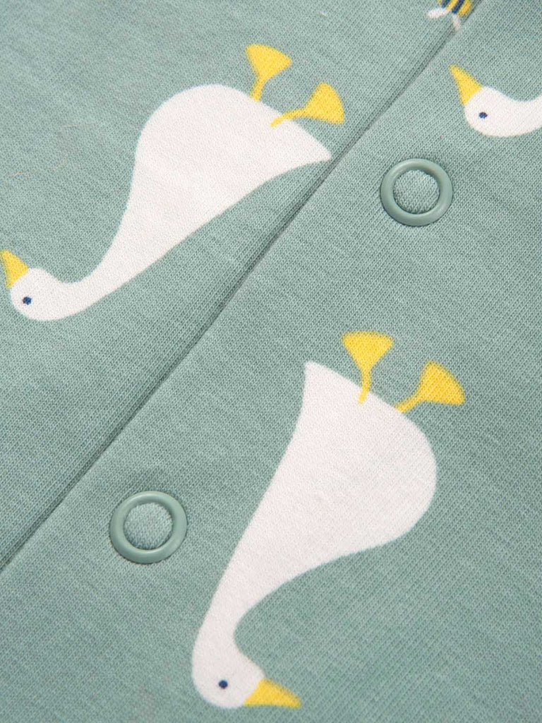 Kite- Little Goose Sleepsuit- Baby at the bank