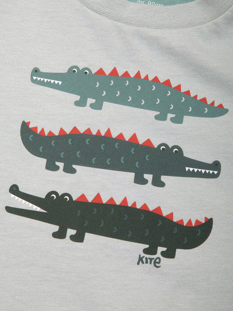 Kite- Captain Croc T Shirt- Baby at the bank