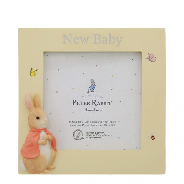 Peter Rabbit- Flopsy New Baby Frame- Baby at the bank