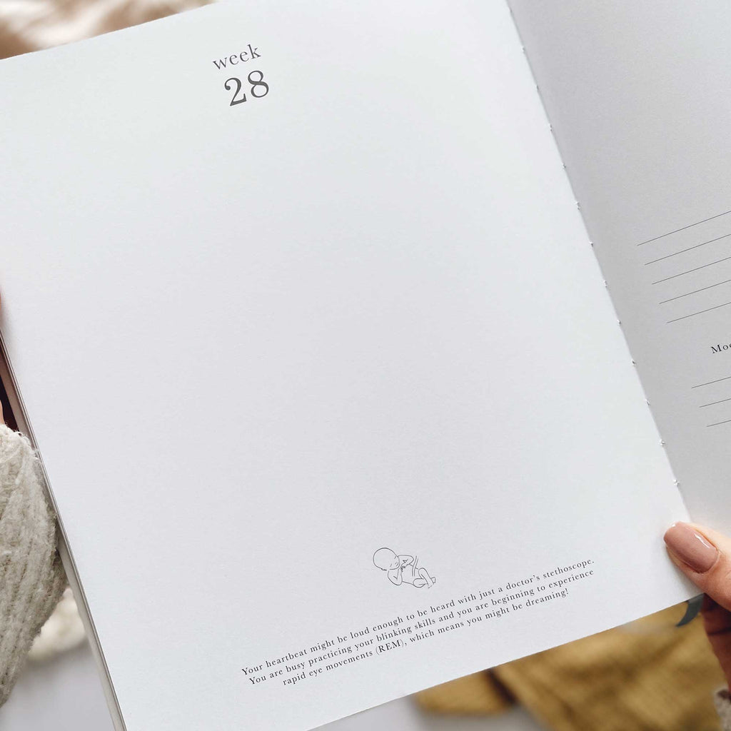 Blush & Gold -My Pregnancy Journal - Safari with Gilded Edges