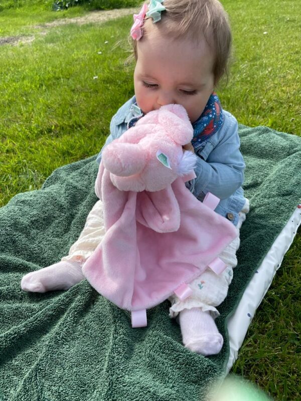 Ziggle- Pink Bunny Plush Comforter Blanket- Baby at the bank