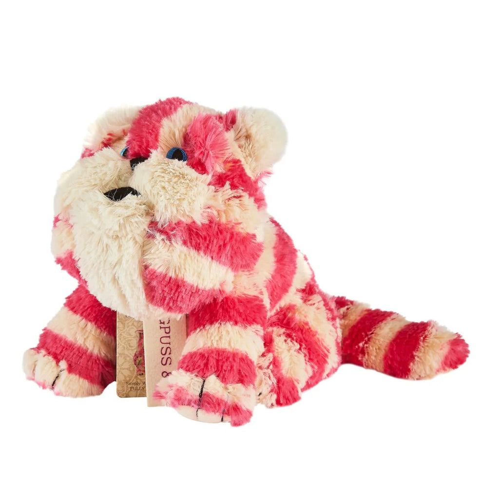 Warmies - Plush Bagpuss- baby at the bank