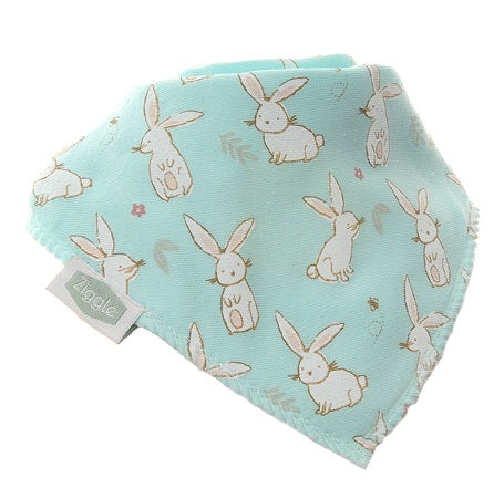 Ziggle-Bunnies on Mint bib- Baby at the bank