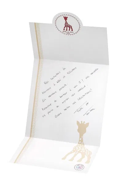 Sophie the Giraffe- Sophiesticated The Swaddle Set- Baby at the bank