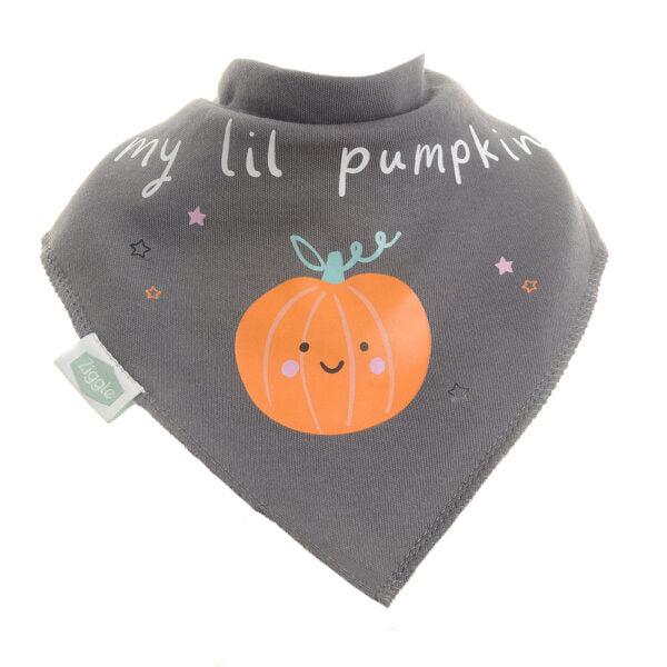 Ziggle- My L’il pumpkin Bib- Baby at the bank