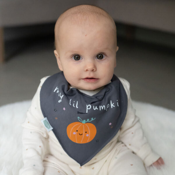 Ziggle- My L’il pumpkin Bib- Baby at the bank