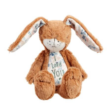 Guess How I Much I Love You- New Little Nutbown Hare- Baby At The Bank