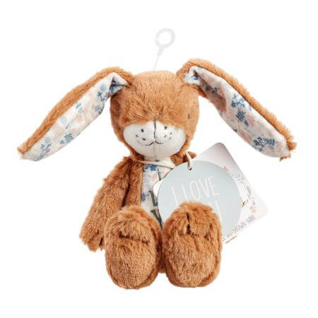 Guess How I Much I Love You- New Little Nutbown Hare- Baby At The Bank