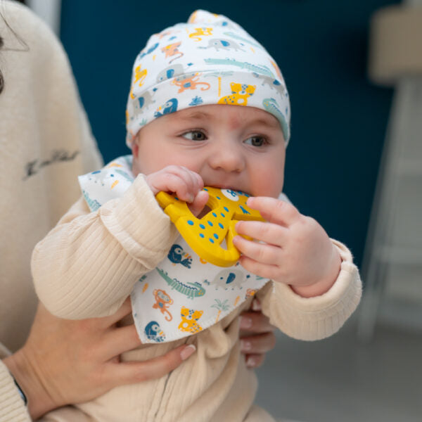 Ziggle- Leopard Teether- Baby at the bank