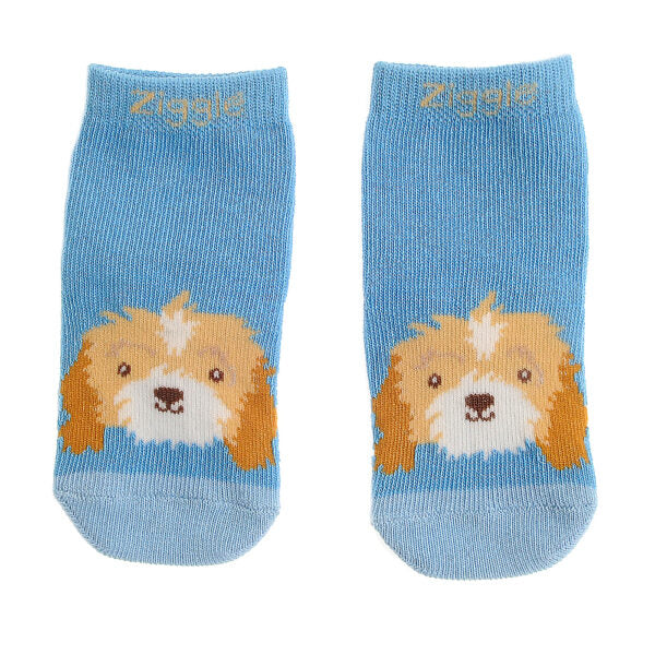 Ziggle- Cockapoo Leggings and Socks Set- Baby at the bank