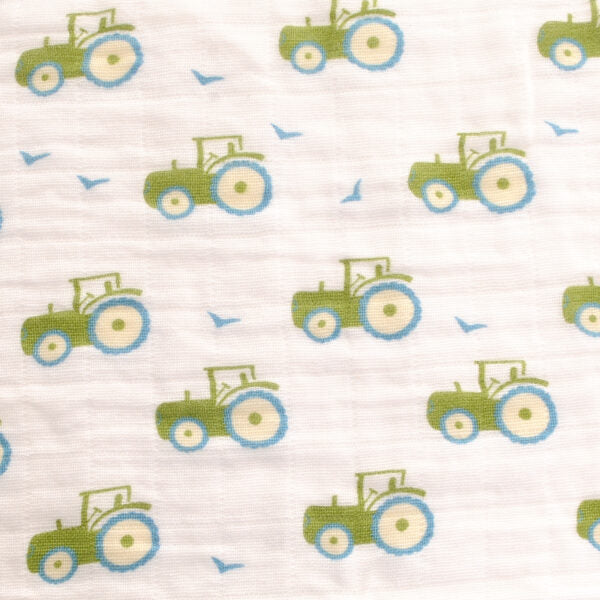 Ziggle- Blues Muslin Set- Baby at the bank