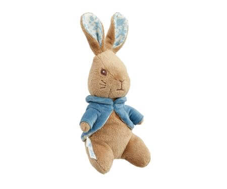 Peter Rabbit- Peter Rabbit Signature Knitted Blanket with Soft Toy- baby at the bank