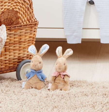 Peter Rabbit- Peter Rabbit Small Soft Toy-Baby at the bank