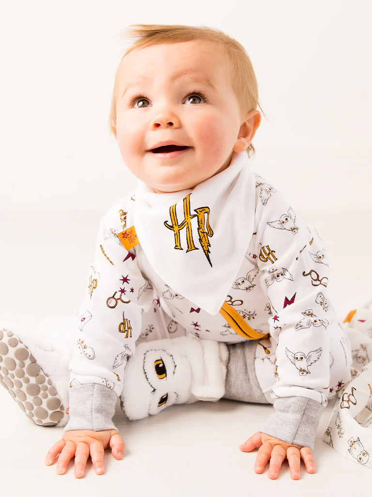 Blade and Rose- Harry Potter™ Hedwig 2PK Bibs- Baby at the bank