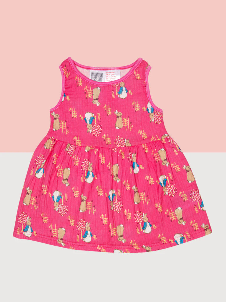 Blade and Rose- Peter Rabbit Springtime Summer Dress- Baby at the bank