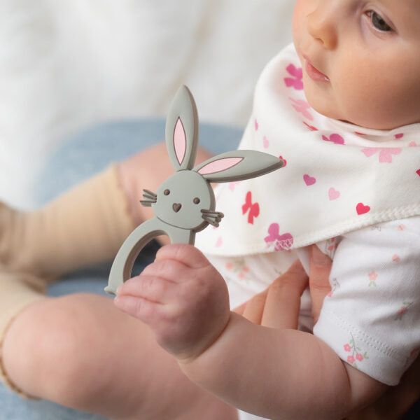 Ziggle- Bunny Teether- Baby at the bank