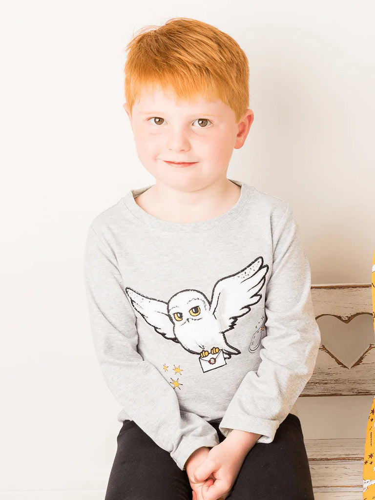 Blade and Rose- Harry Potter™ Hedwig Top- Baby at the bank