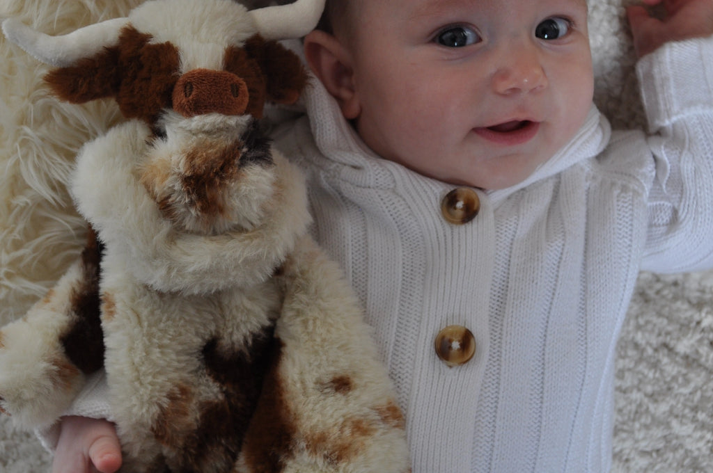 Jomanda- Texas Longhorn Highland Cow Soft Toy Soother Comforter 29cm- Baby at the bank
