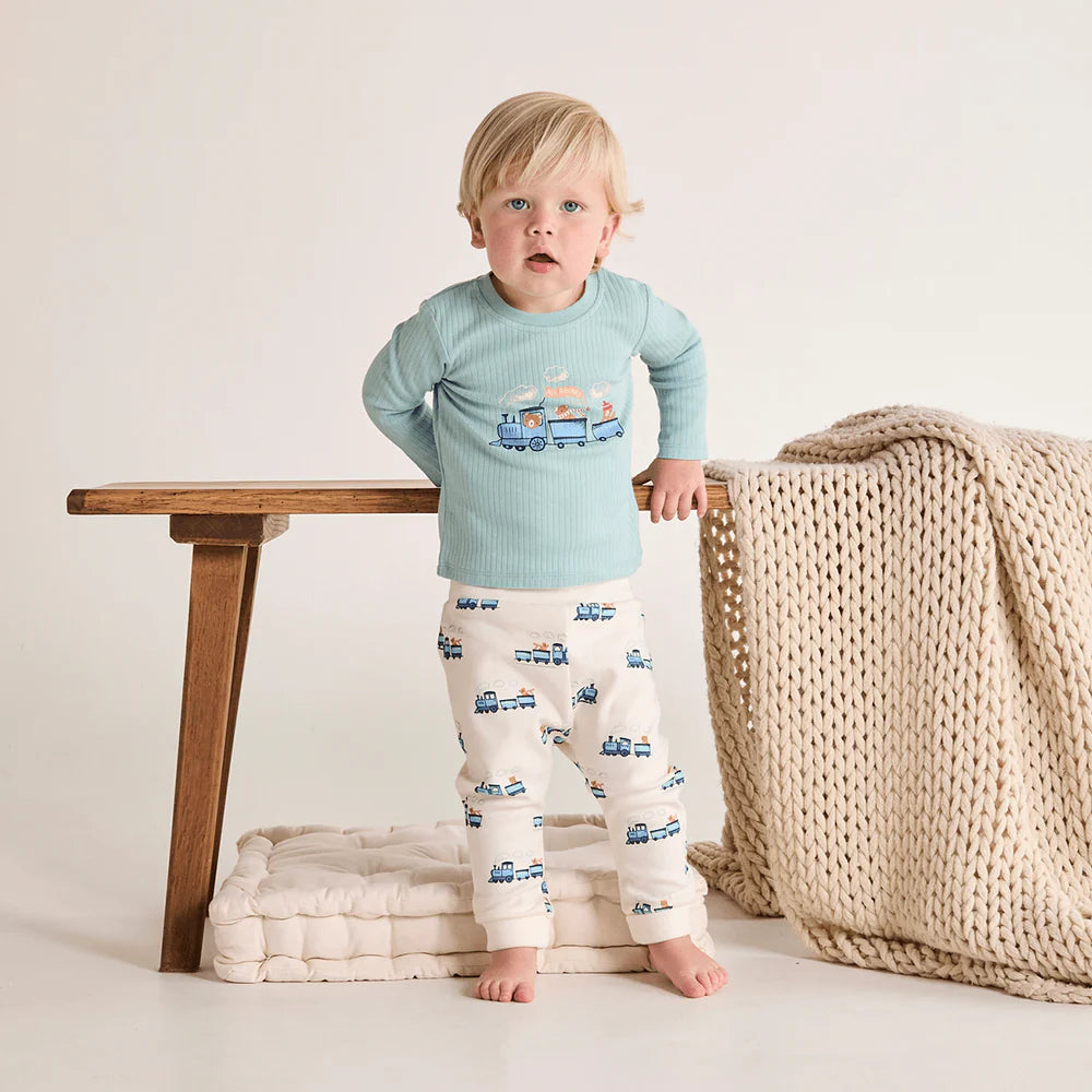 Minicuddles- Baby Boys 3pk Printed Joggers, Multicolour- Baby at the bank