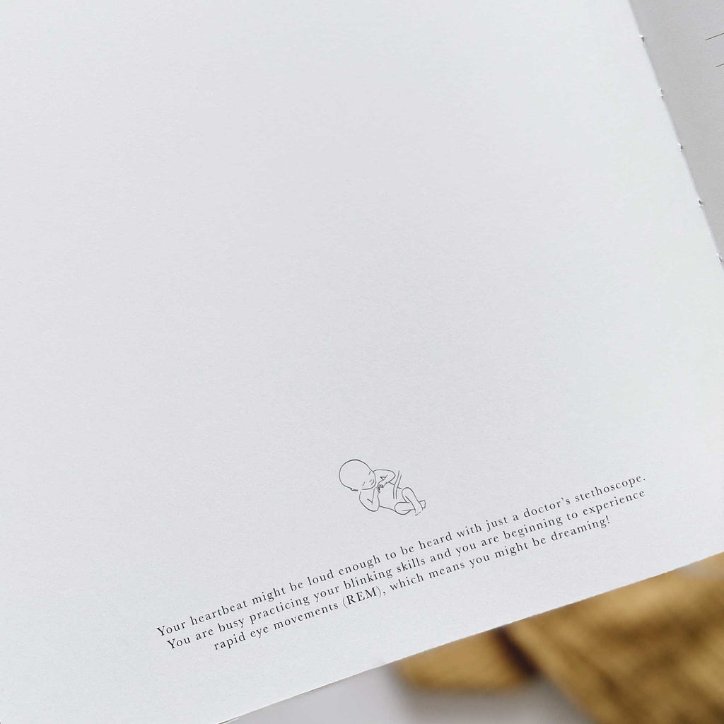 Blush & Gold -My Pregnancy Journal - Safari with Gilded Edges