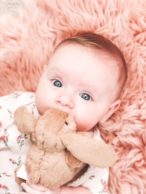 Jomanda- Bunny Baby Plush Brown Soft Toy Soother Comforter 29cm- Baby at the bank