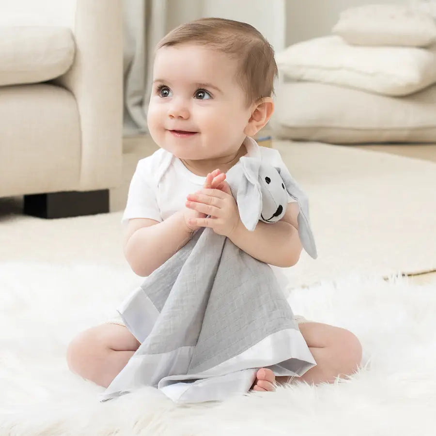 Aden & Anais- Solid Micro Chip Grey Essentials Cotton Lovey- Baby at the bank