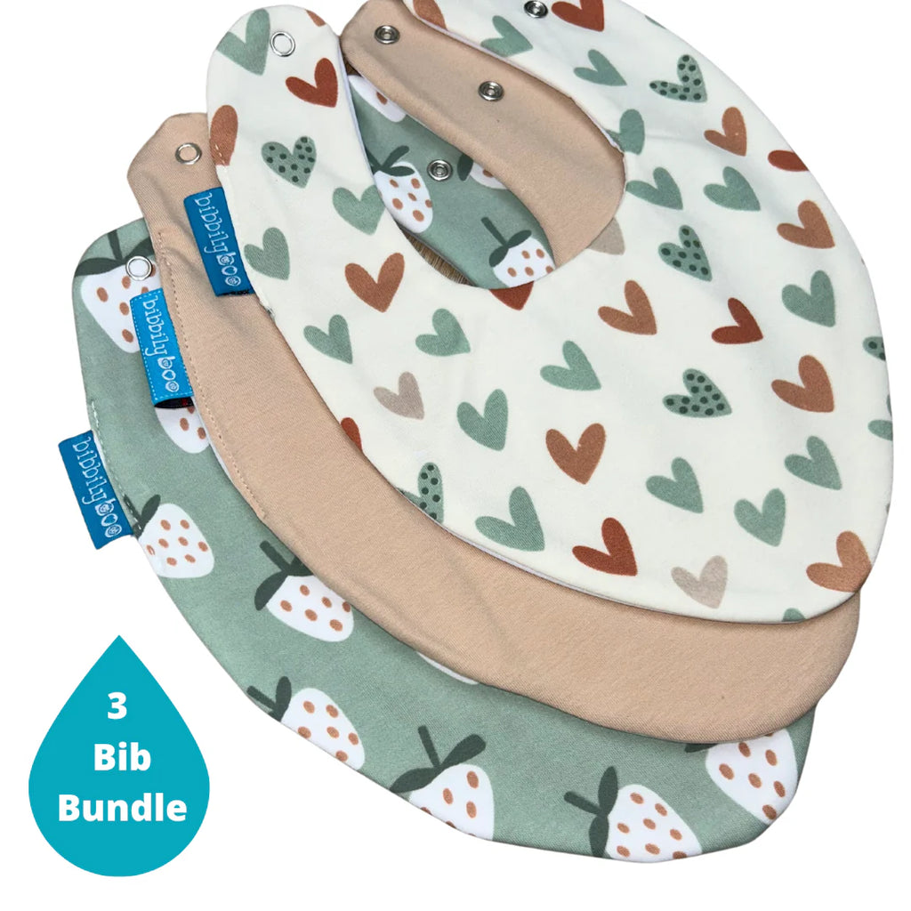 Bibbily- Strawberry & Hearts Bundle of 3 Bibs- Baby at the bank