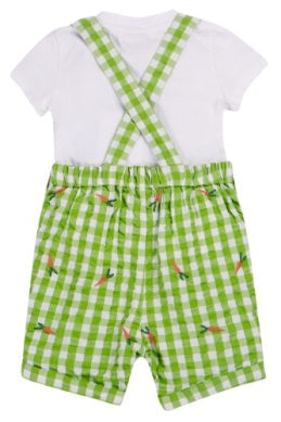 Frugi- Alfred Dungaree Outfit Macaw Gingham/Carrotts