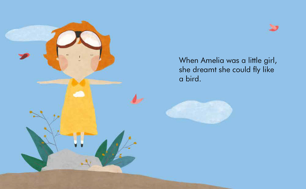 Little People Big Dreams - Amelia Earhart- Baby at the bank