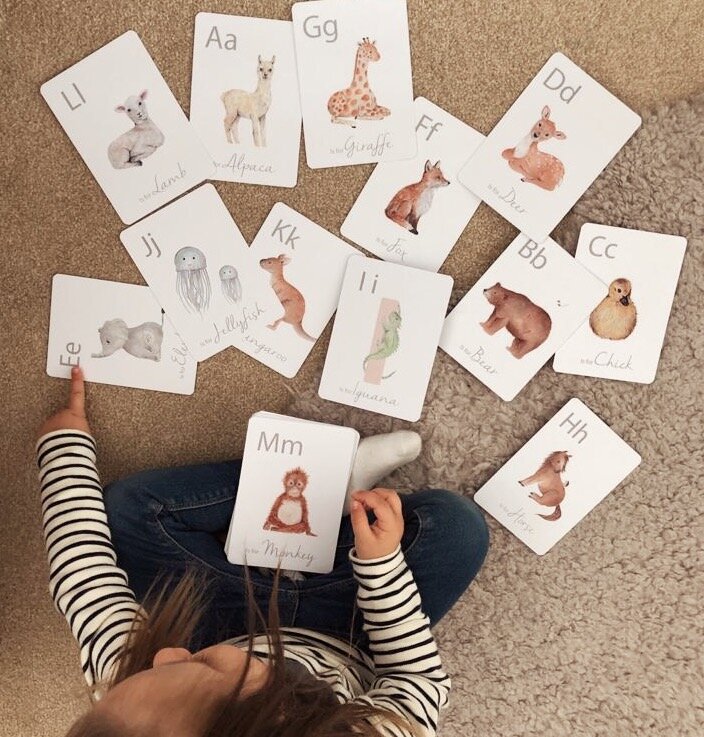 Little Roglets- Alphabet Flashcards- Baby at the bank